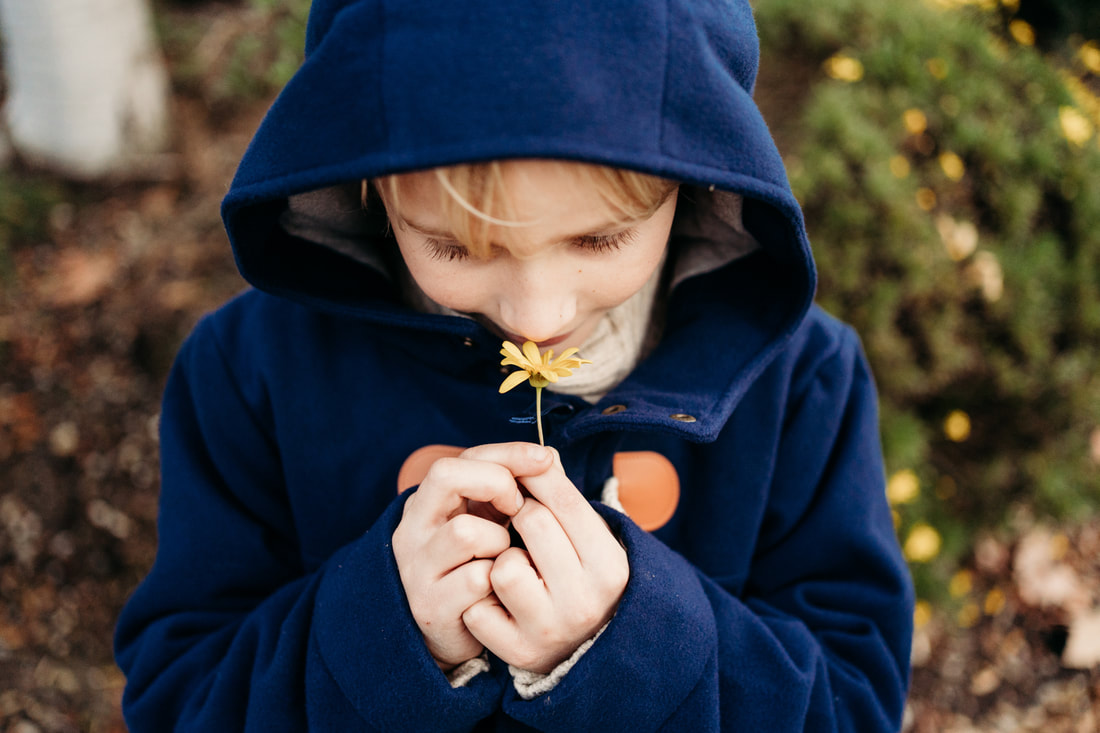 A 9 year old boy wearing a dark blue coat smells a yellow flower during his family pictures.